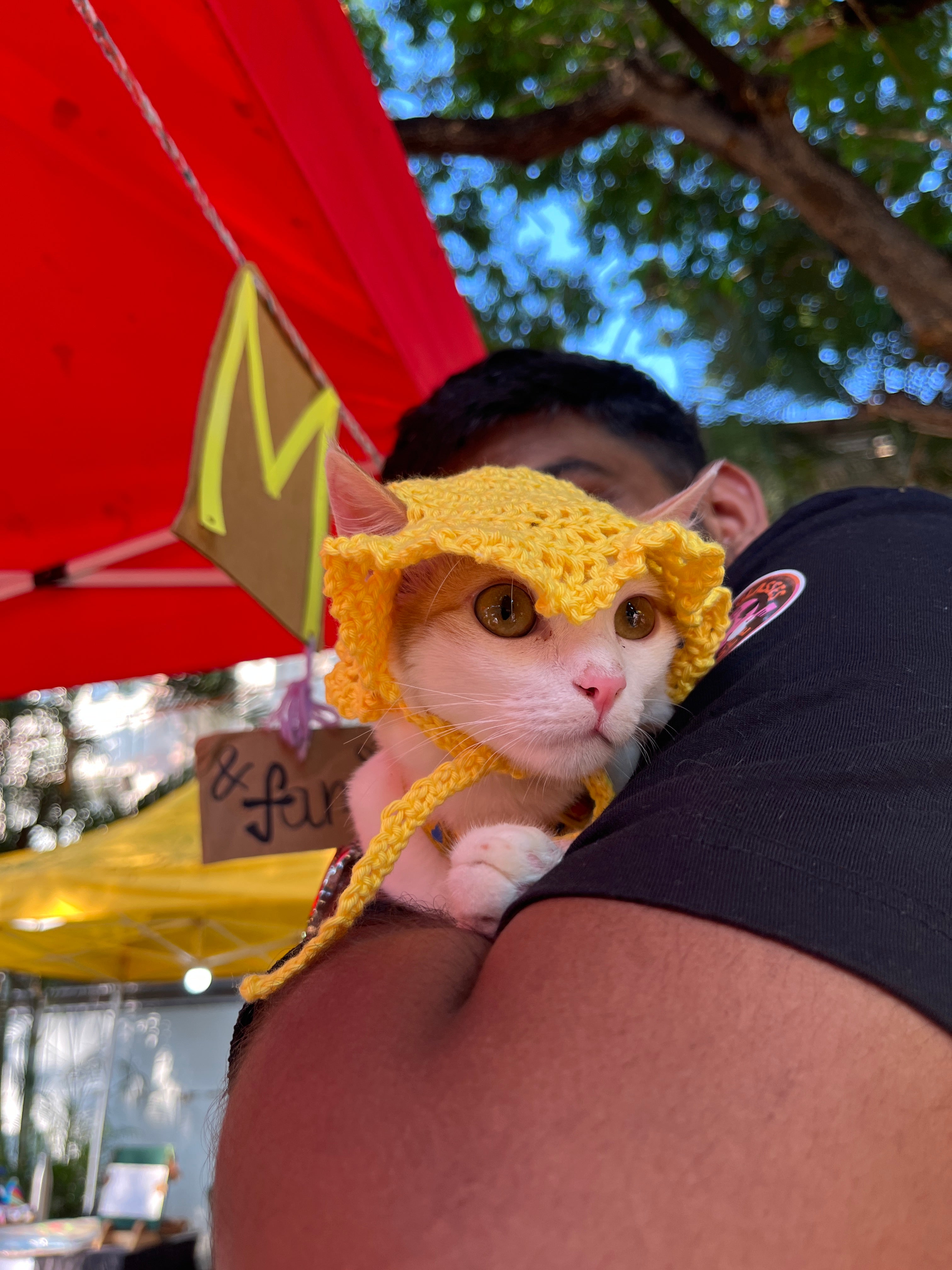 Naram Hand Knitted and Crocheted Pet Cap