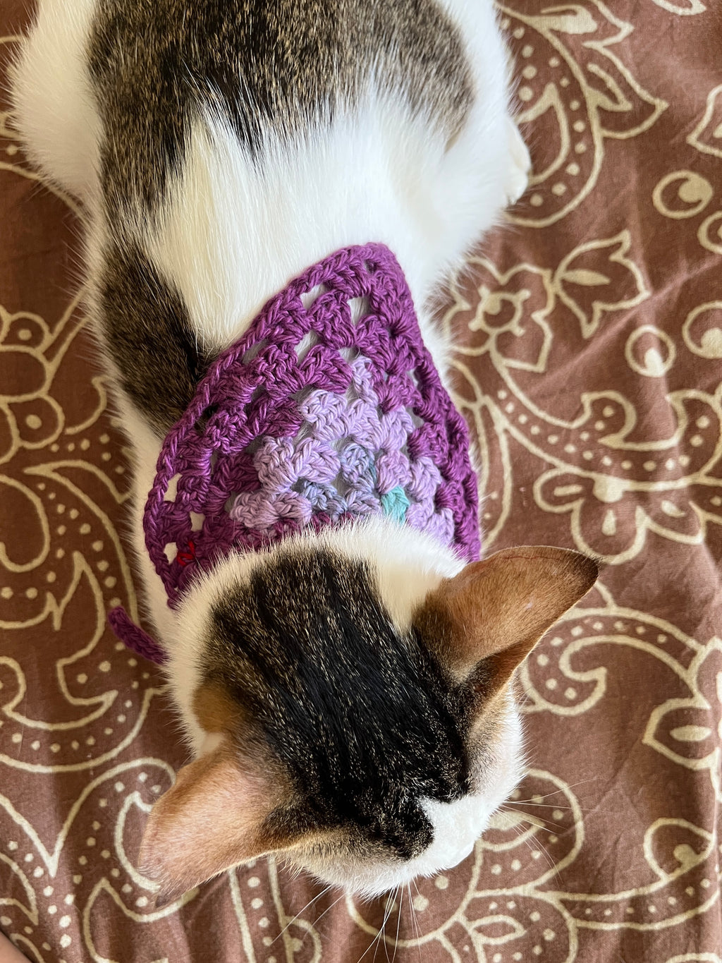 Naram Crocheted Cotton Pet Collar