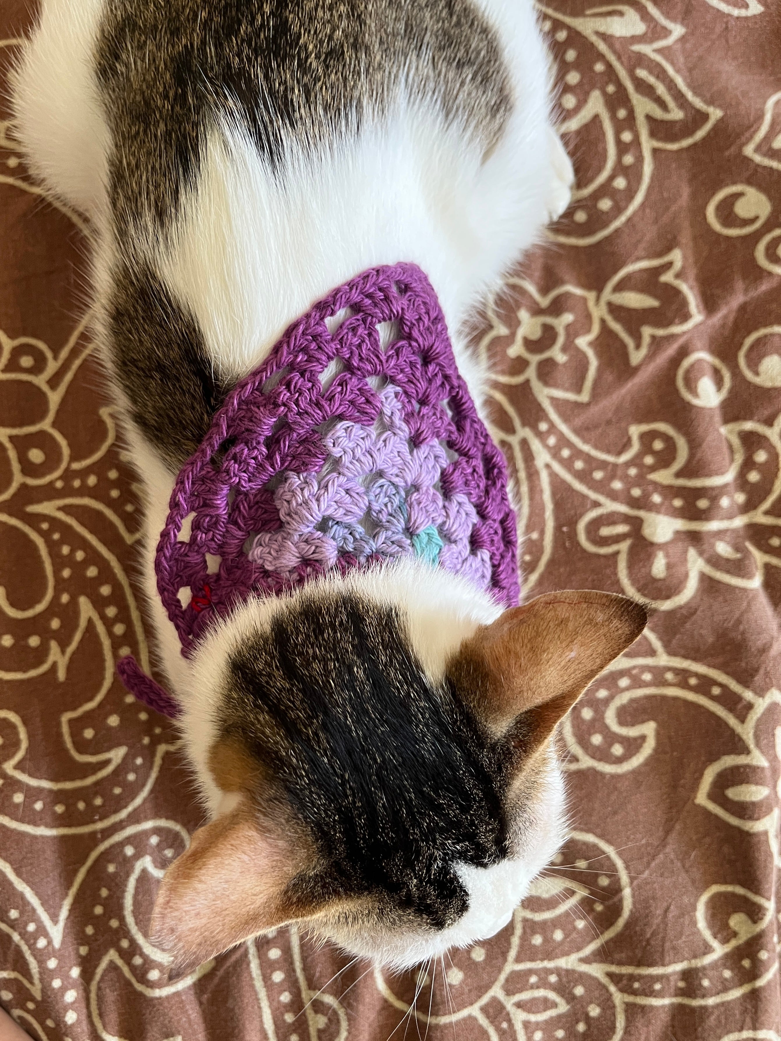 Naram Crocheted Cotton Pet Collar