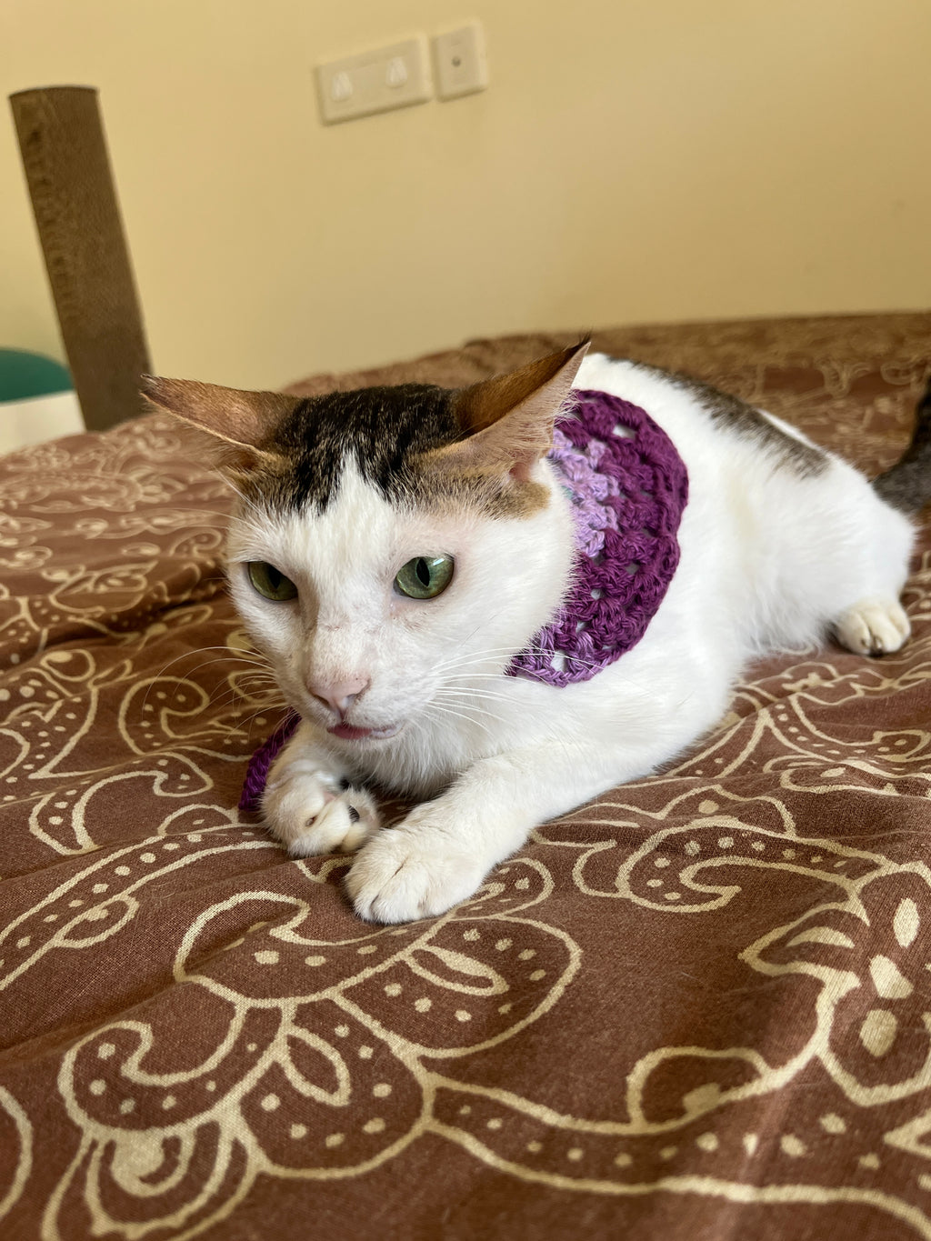 Naram Crocheted Cotton Pet Collar
