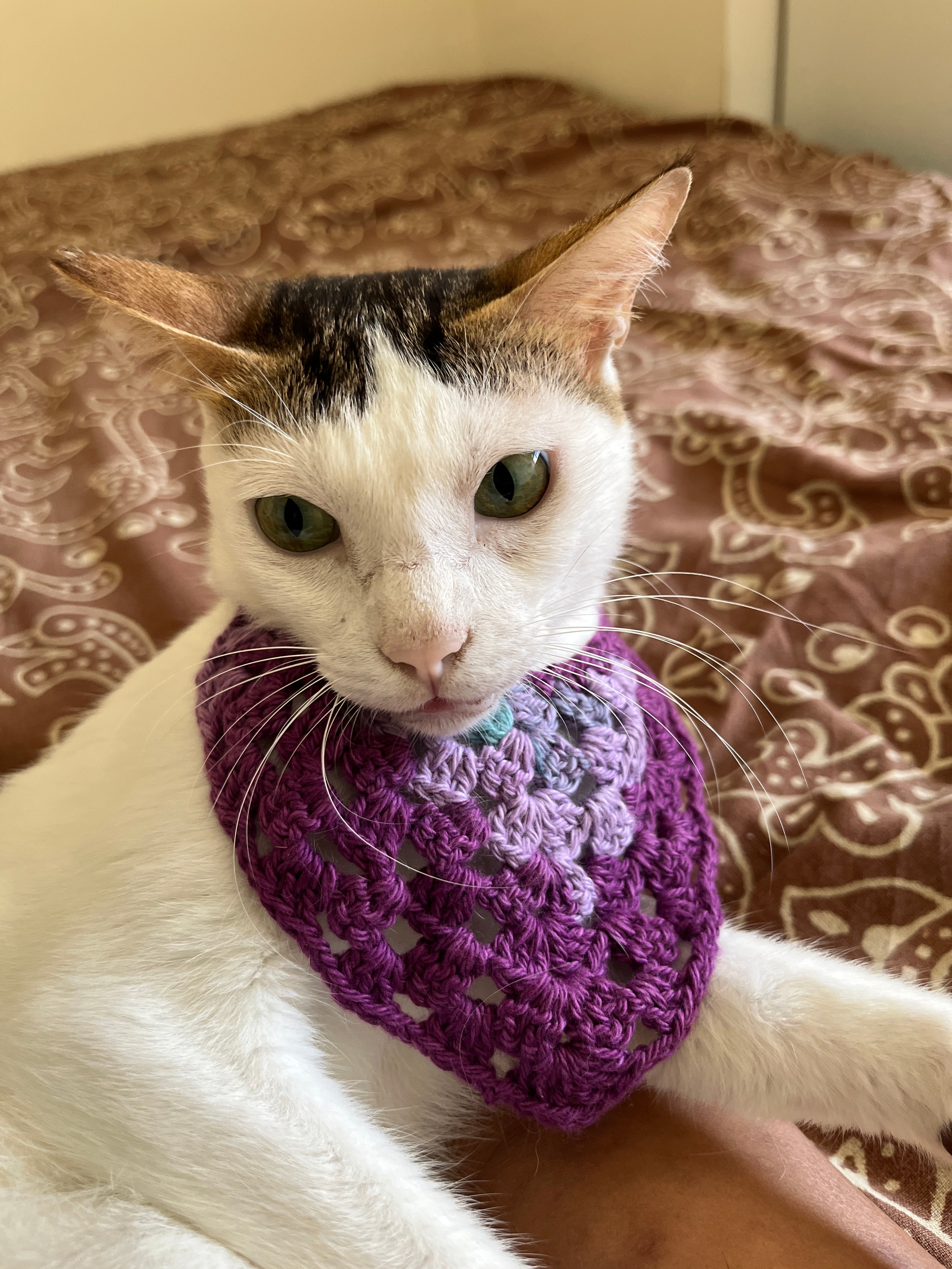 Naram Crocheted Cotton Pet Collar