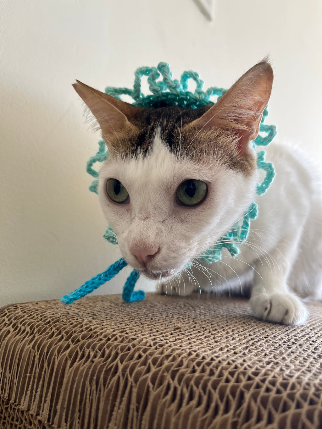 Naram Crocheted Pet Headband Tiara
