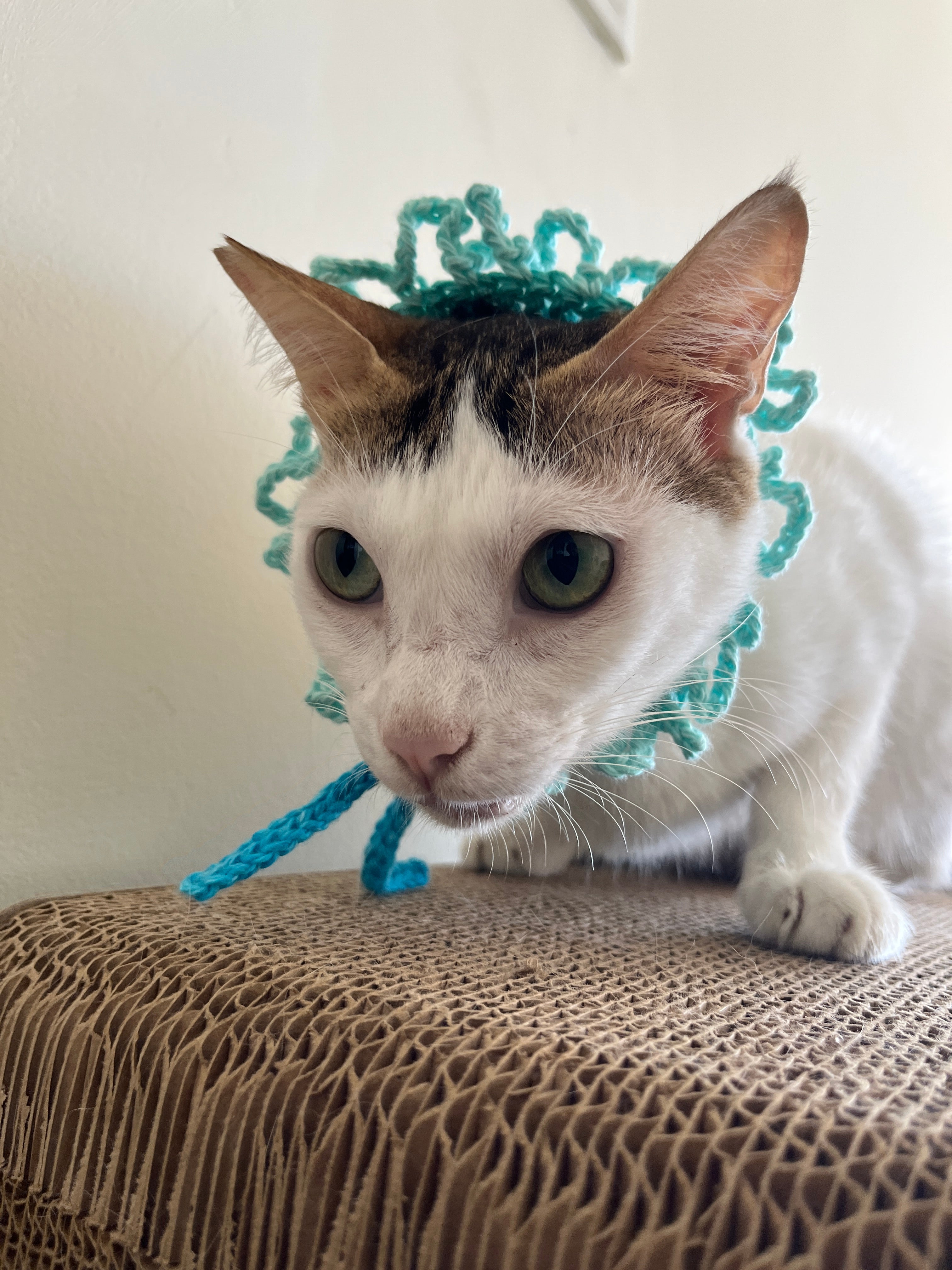 Naram Crocheted Pet Headband Tiara